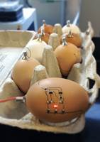Zum Artikel "28.03.2016: Ach Du dickes Ei! Ostergrüße vom Lehrstuhl FAPS"