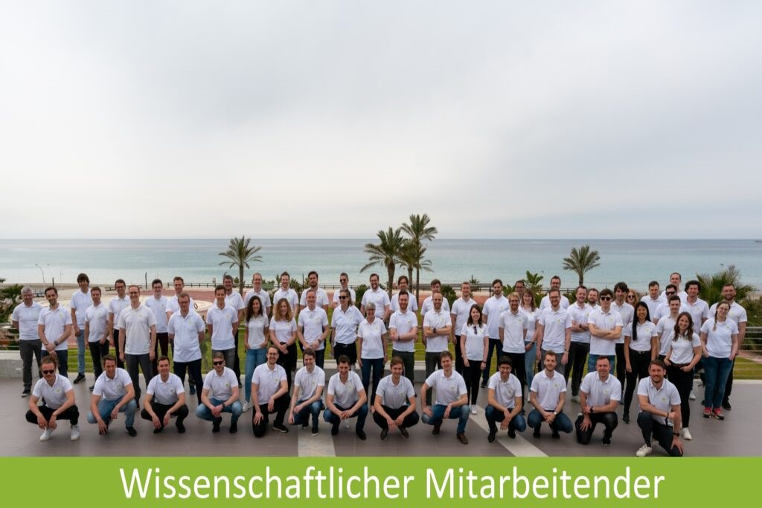 wissenschaftliche Mitarbeiter