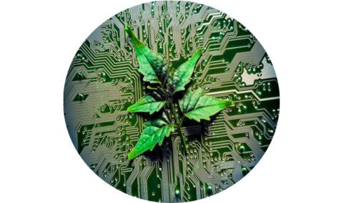 Zum Artikel "Wissenschaftliche Mitarbeitende (m/w/d) im Bereich nachhaltige Elektronikproduktion"