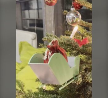 Zum Artikel "25.12.2024: FAPS Weihnachtsvideo 2024 – Geschenkelieferung per Drohne"